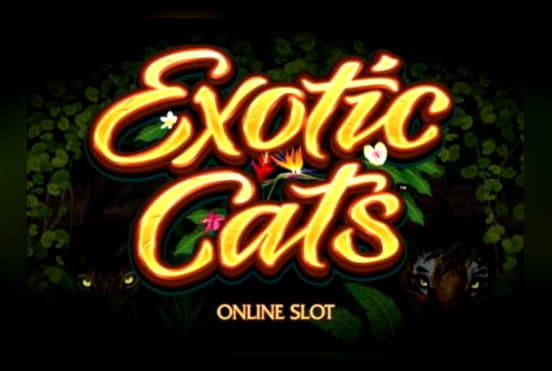 215 giros de casino gratis en Spin Palace Casino